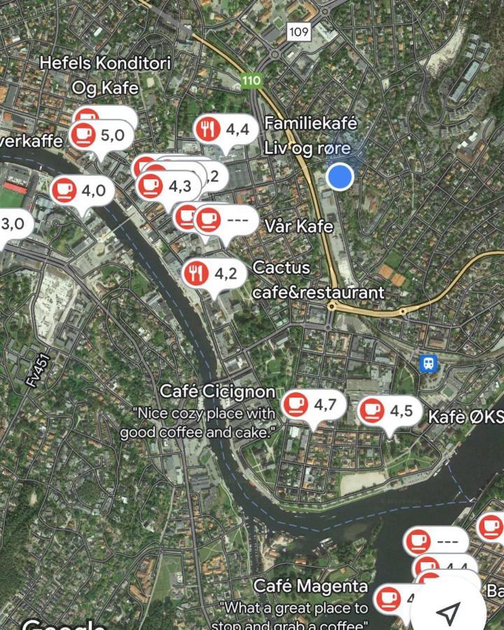 Dammyr, Close To City With Parking Fredrikstad Exteriör bild